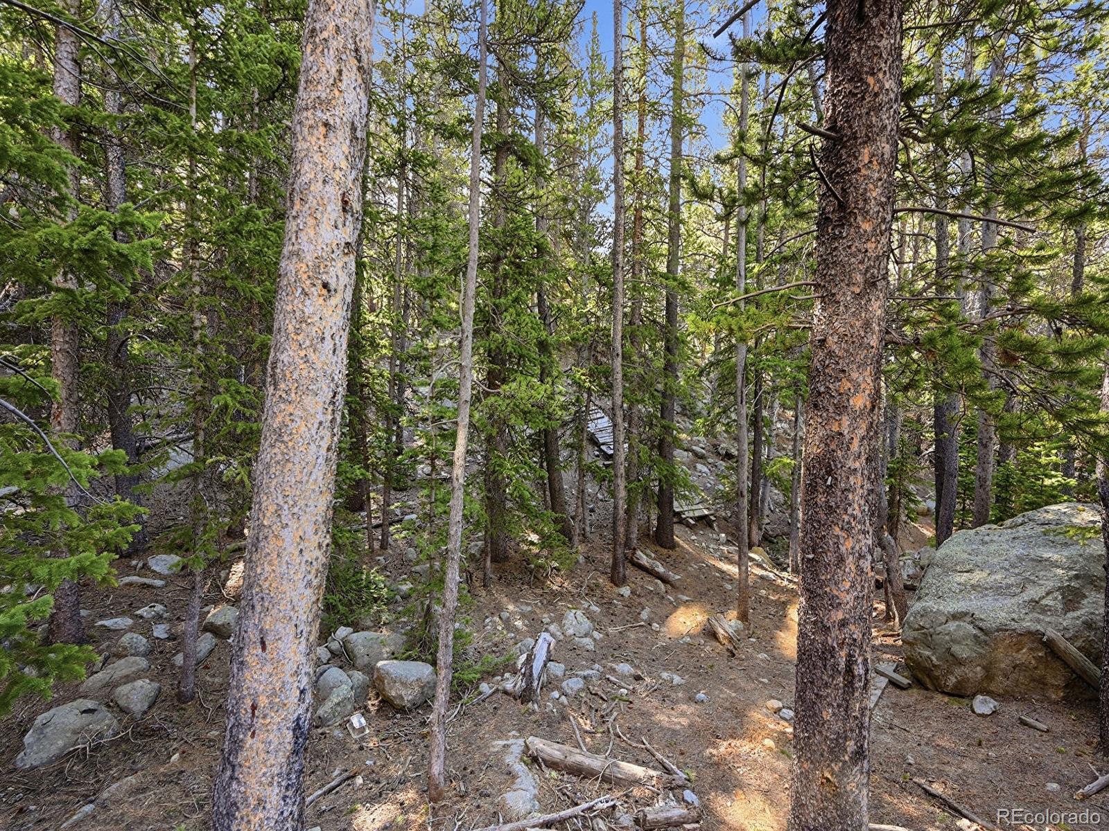 Lot 36 Overlook Court Idaho Springs CO 80452