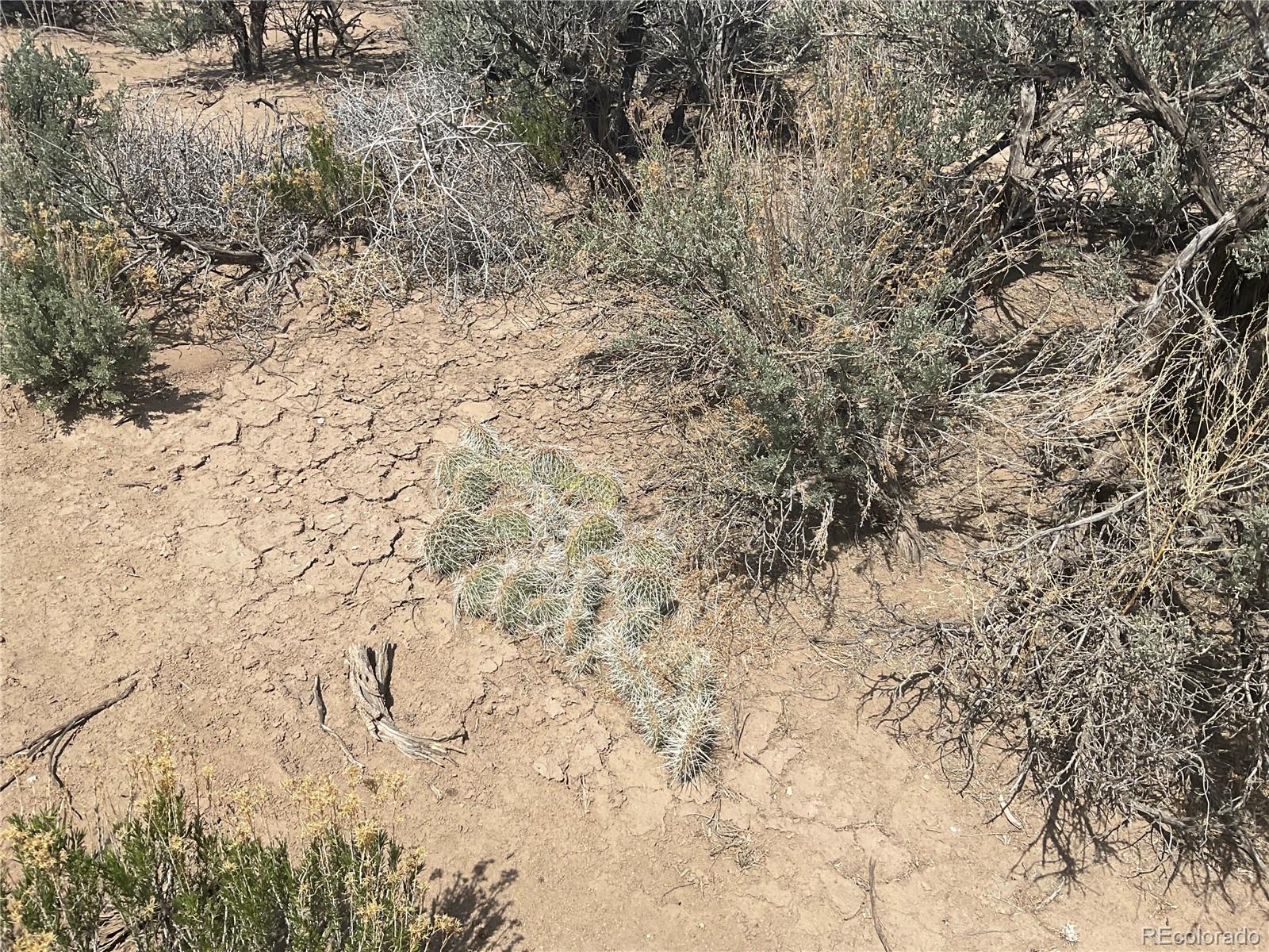 Lot 22 Tuborg Road Fort Garland CO 81133