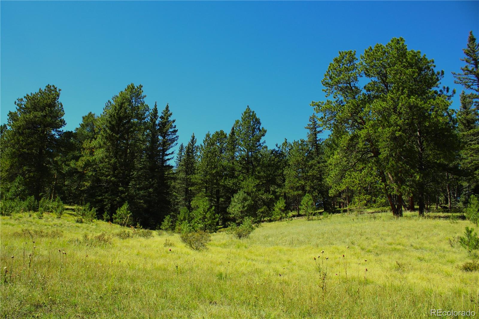 6500 Cr 5 Divide CO 80814