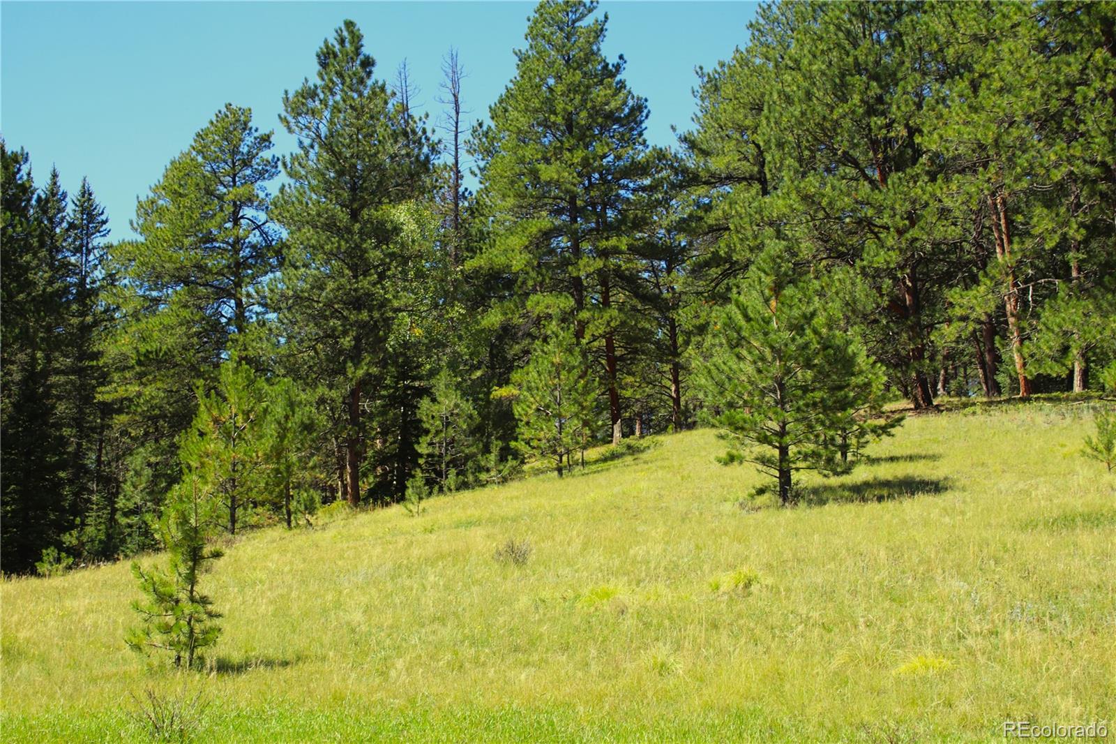 6500 Cr 5 Divide CO 80814