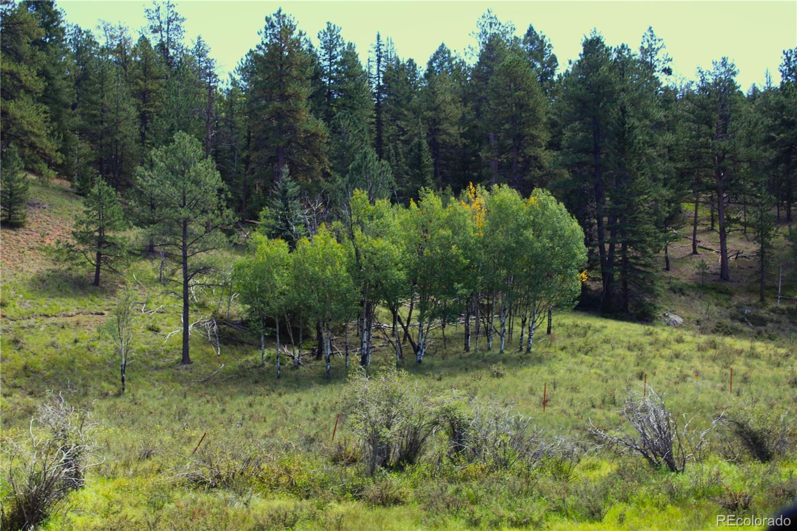 6500 Cr 5 Divide CO 80814