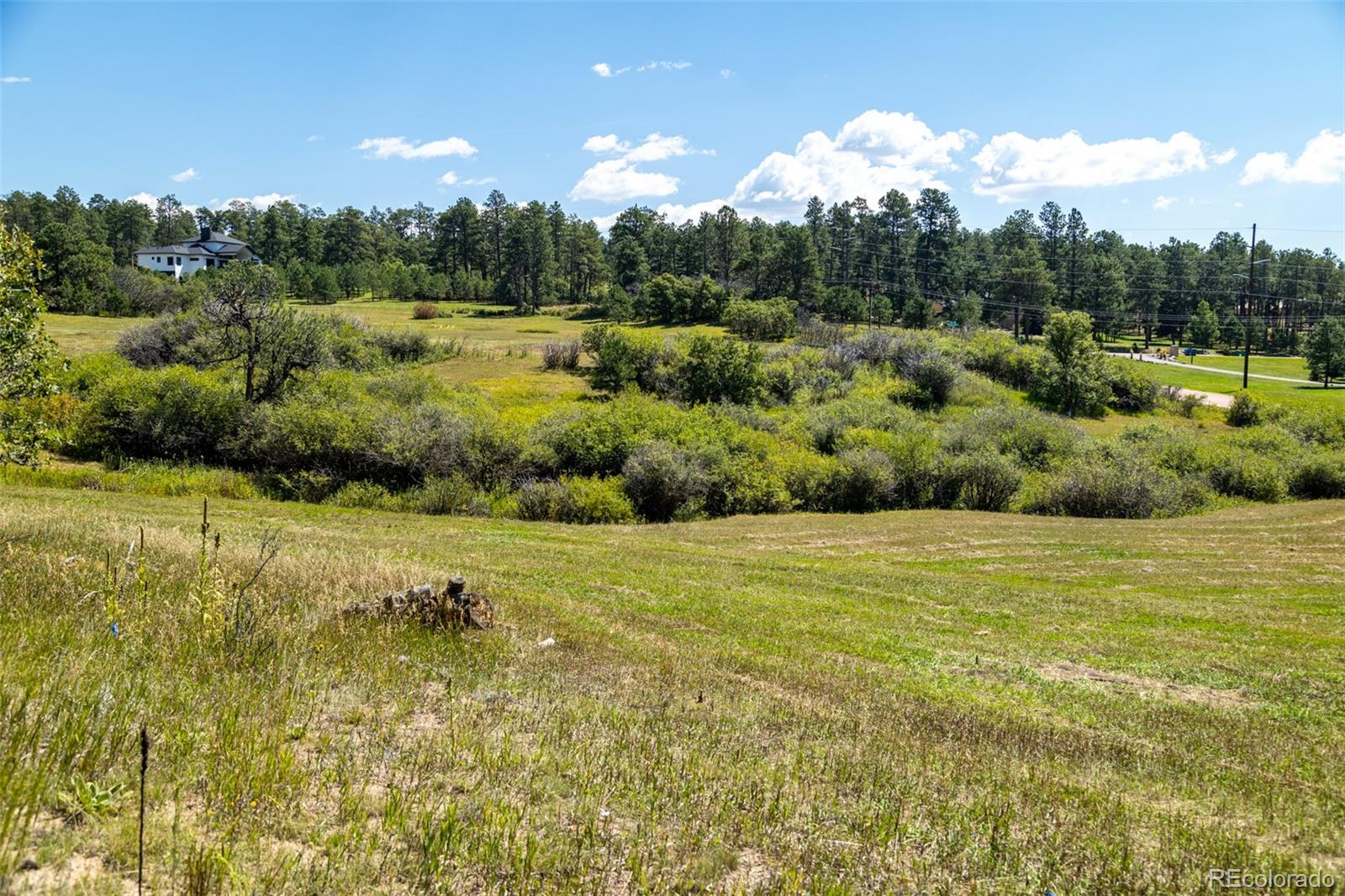 331 Grandwood Drive Monument CO 80132