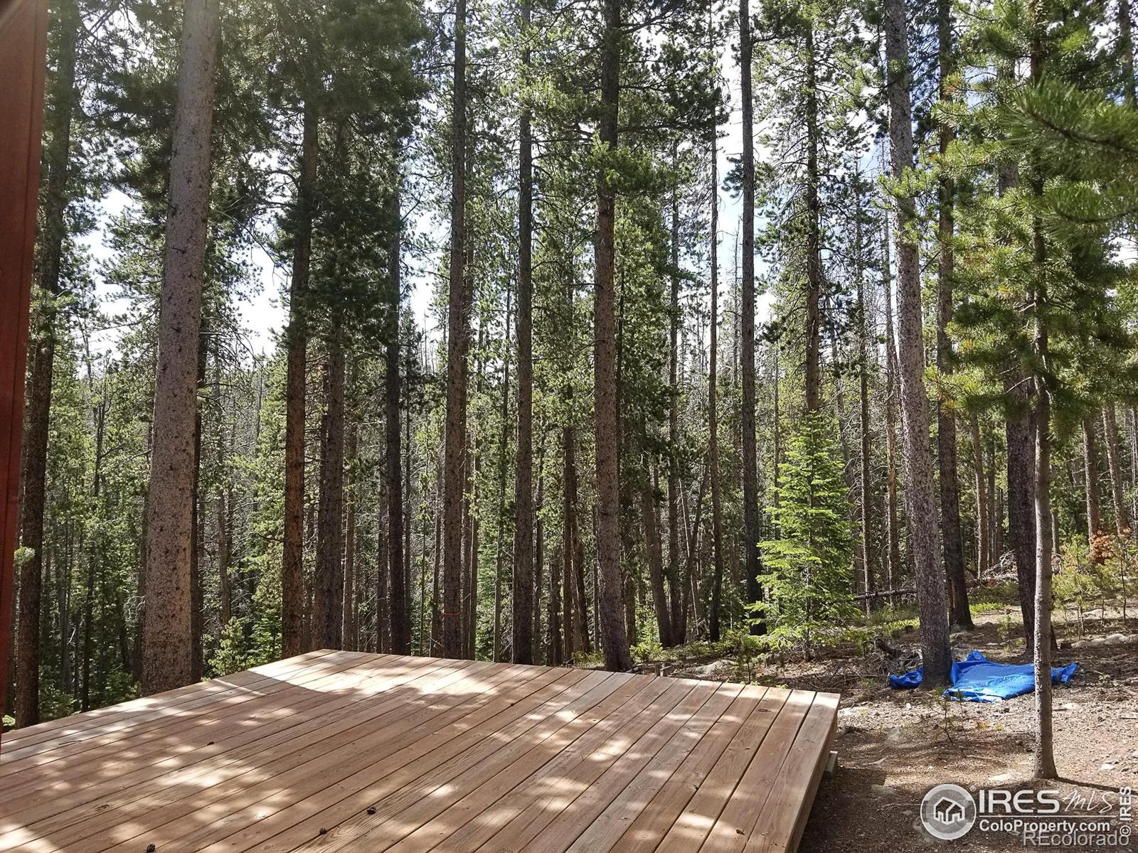 274 Arapahoe Way Red Feather Lakes CO 80545