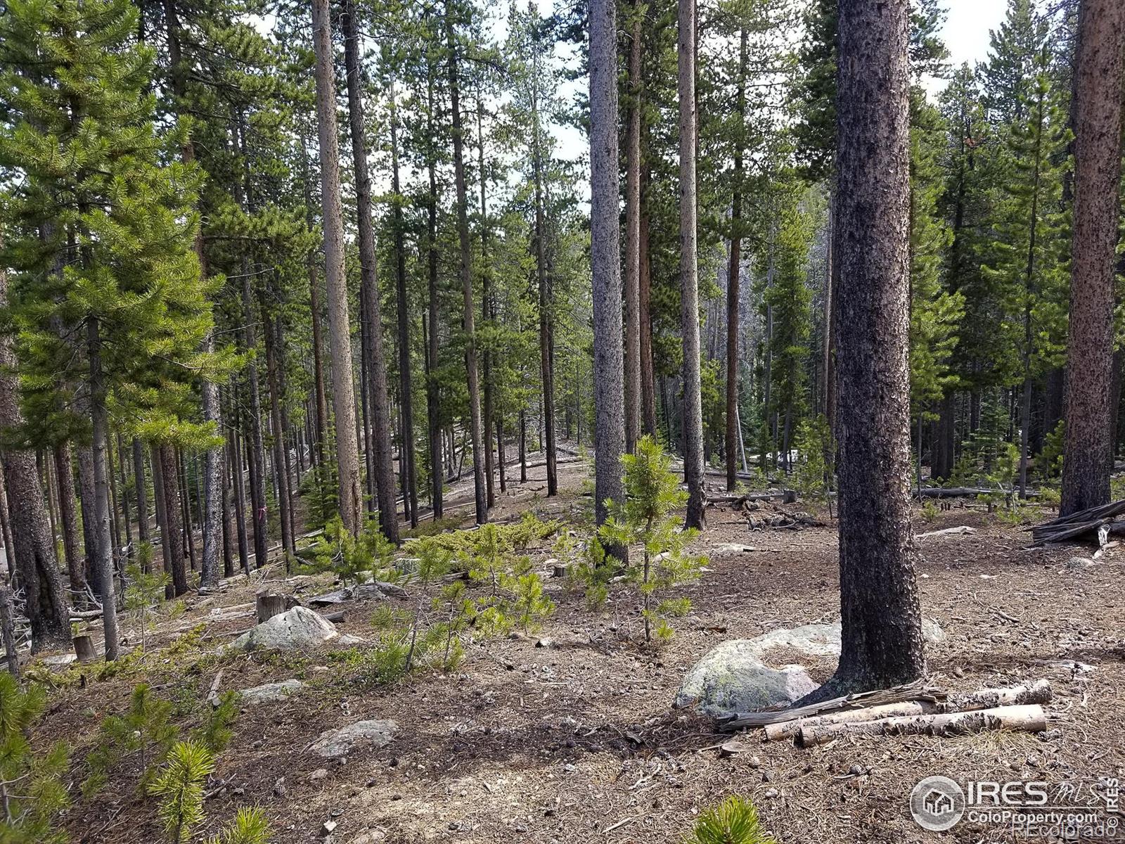 274 Arapahoe Way Red Feather Lakes CO 80545