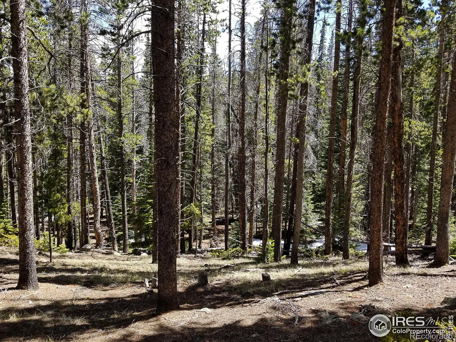 274 Arapahoe Way Red Feather Lakes CO 80545