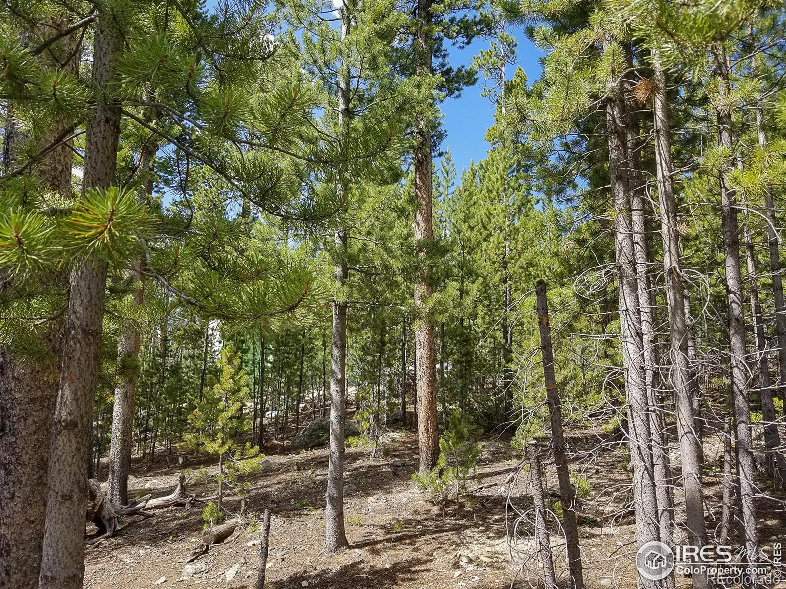 274 Arapahoe Way Red Feather Lakes CO 80545