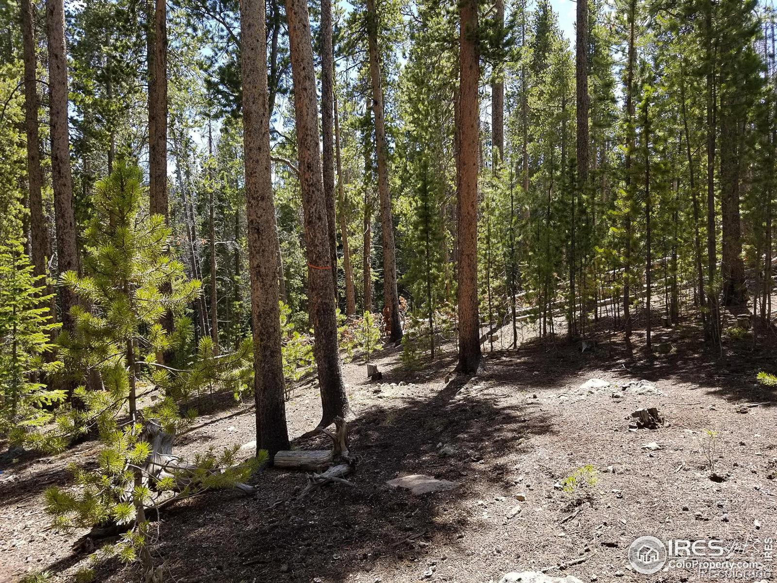 274 Arapahoe Way Red Feather Lakes CO 80545