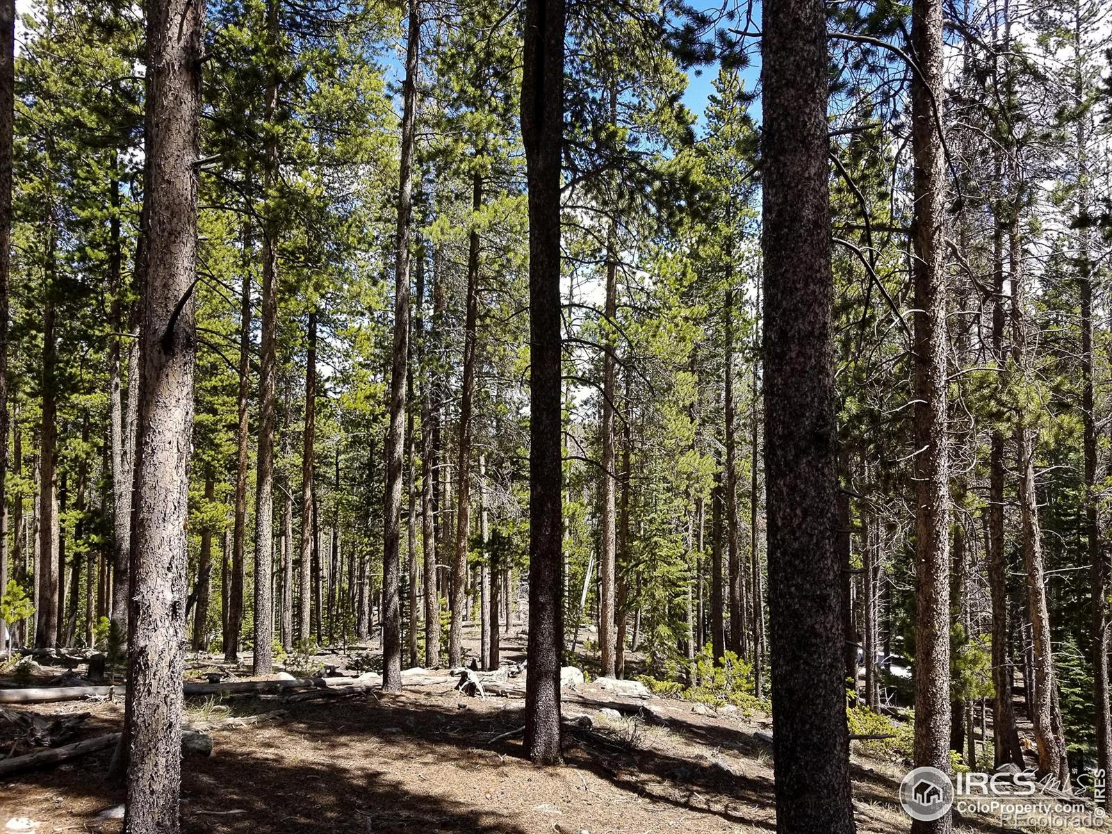 274 Arapahoe Way Red Feather Lakes CO 80545