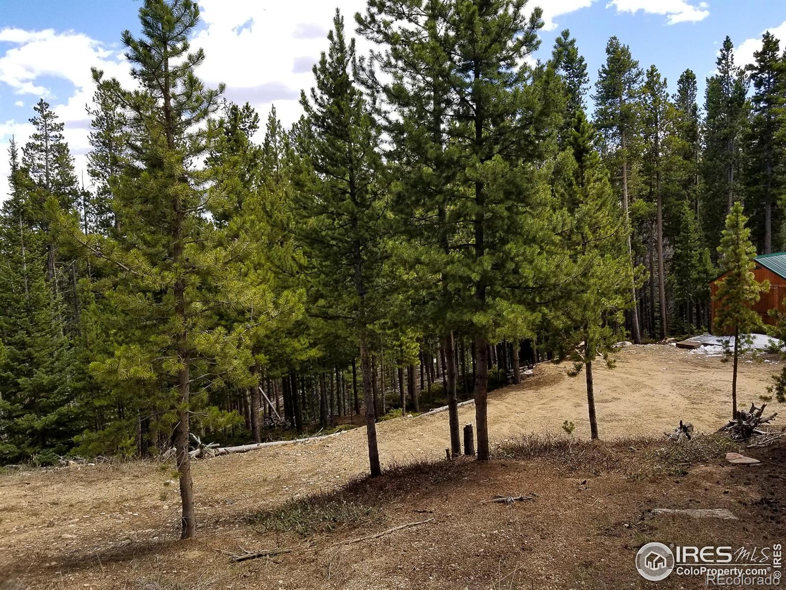 274 Arapahoe Way Red Feather Lakes CO 80545