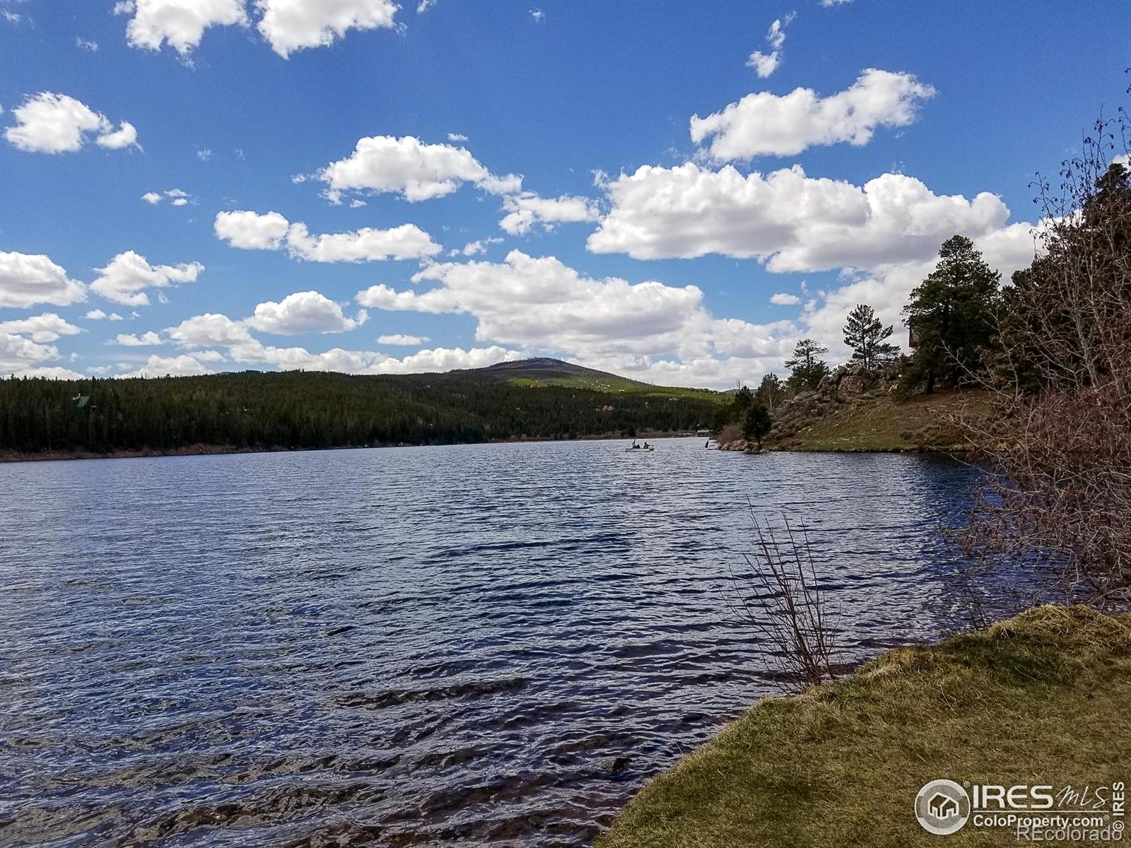 274 Arapahoe Way Red Feather Lakes CO 80545