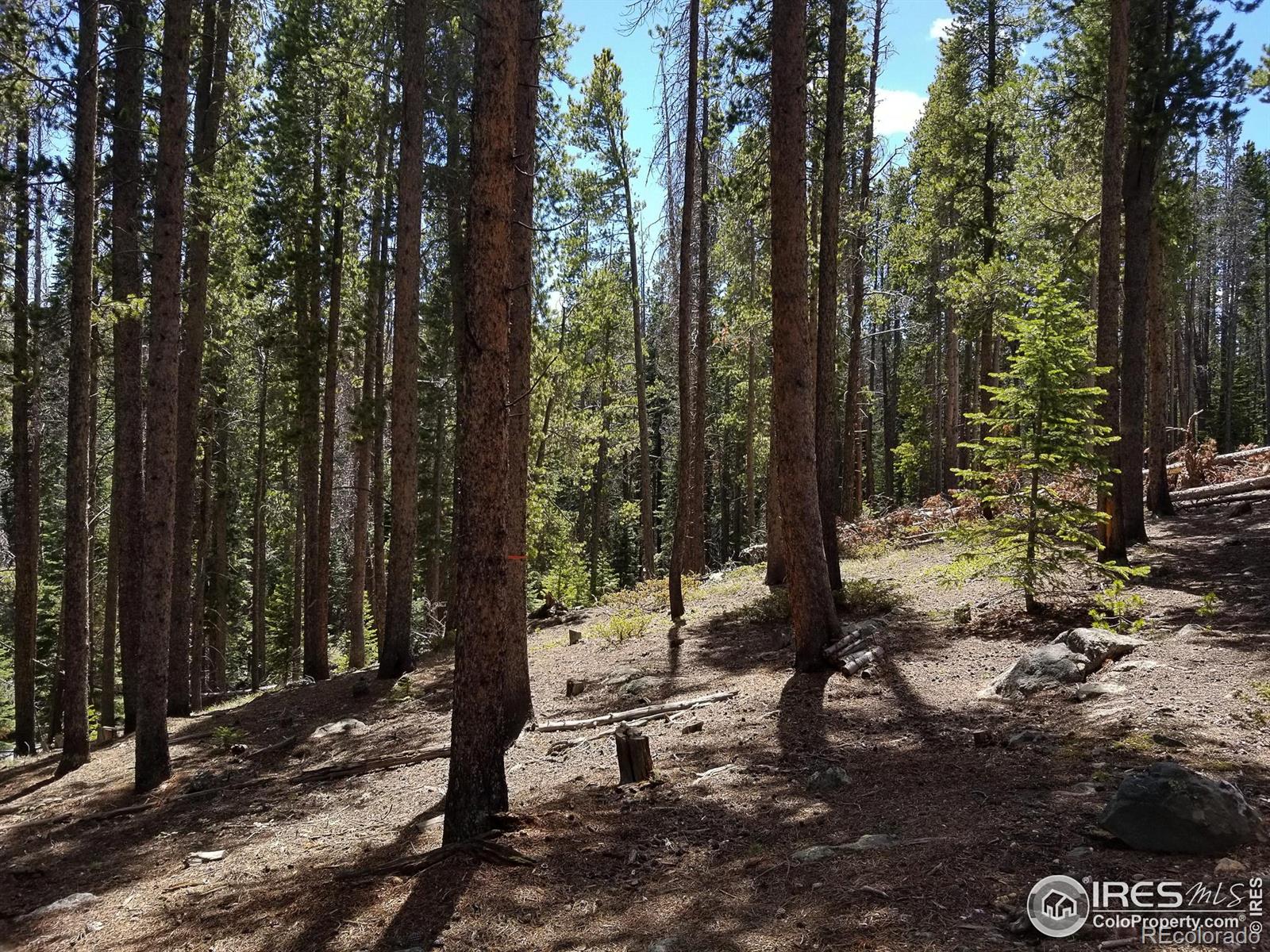 274 Arapahoe Way Red Feather Lakes CO 80545