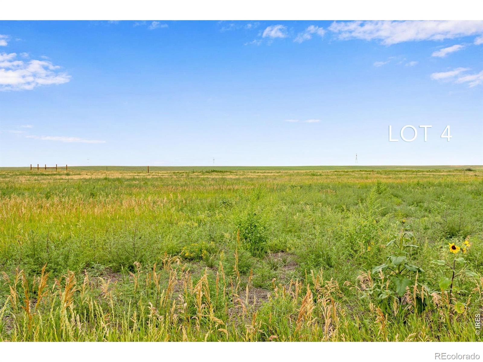 346 Tbd County Road Carr CO 80612