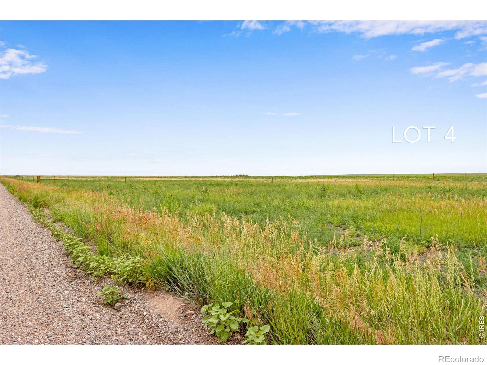346 Tbd County Road Carr CO 80612