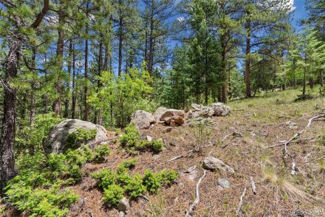 135 Linda Trail Bailey CO 80421