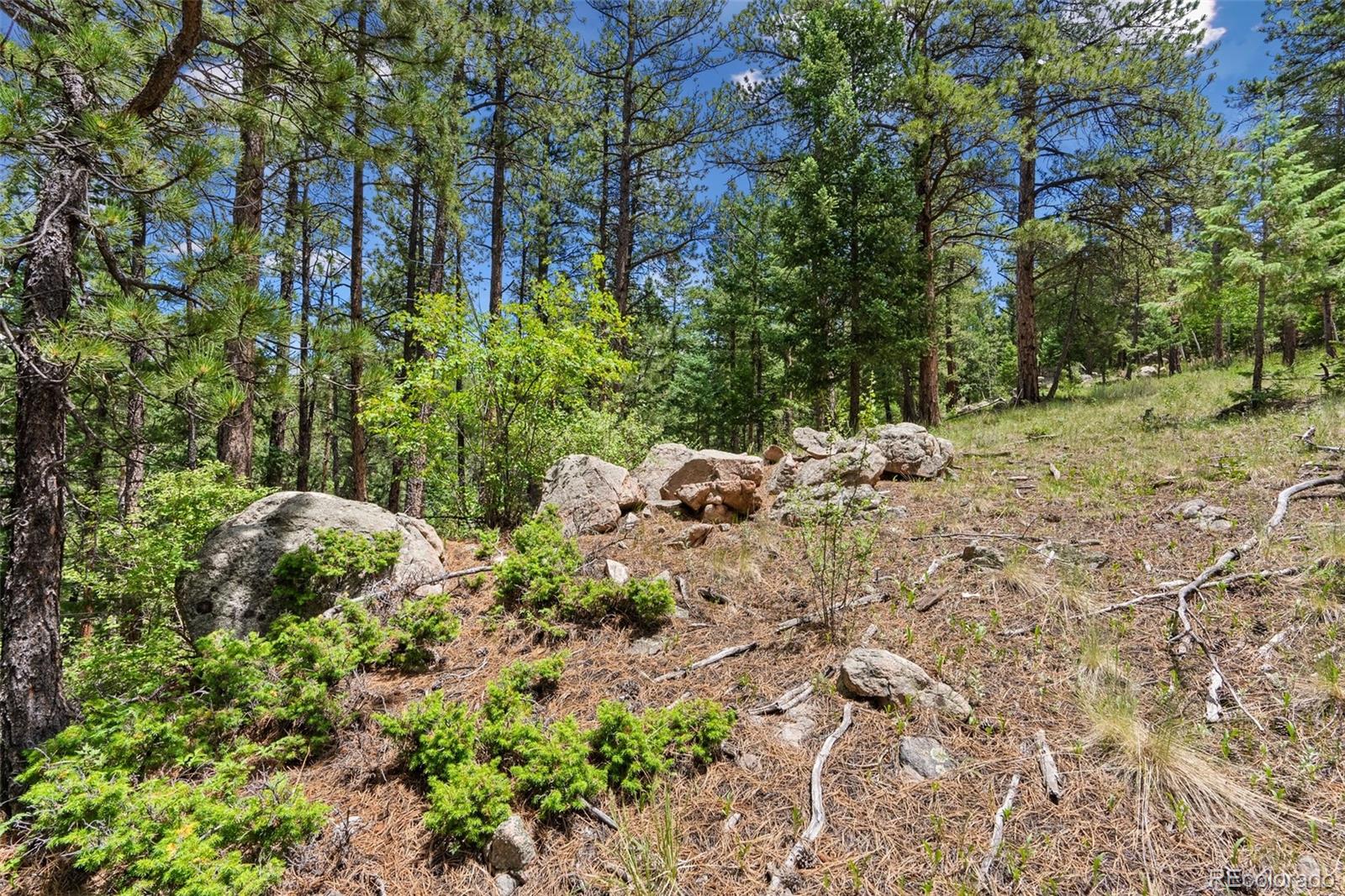 135 Linda Trail Bailey CO 80421