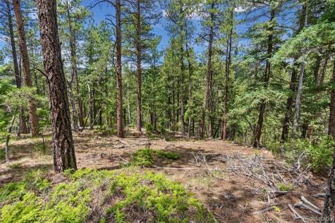 135 Linda Trail Bailey CO 80421