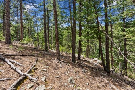 135 Linda Trail Bailey CO 80421