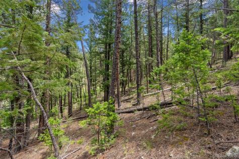 135 Linda Trail Bailey CO 80421