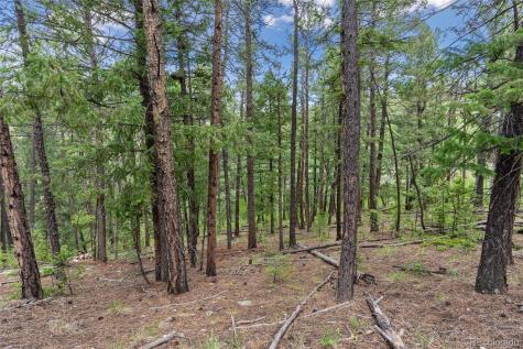 135 Linda Trail Bailey CO 80421