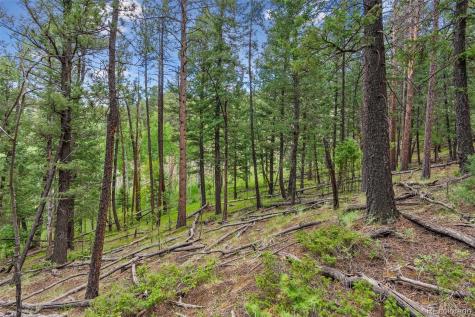 135 Linda Trail Bailey CO 80421