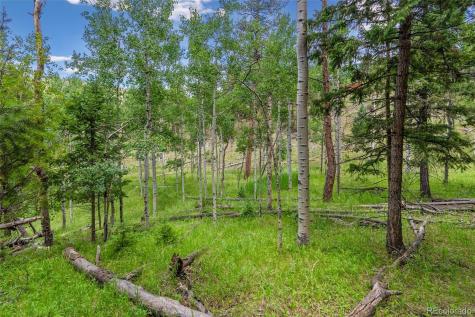 135 Linda Trail Bailey CO 80421