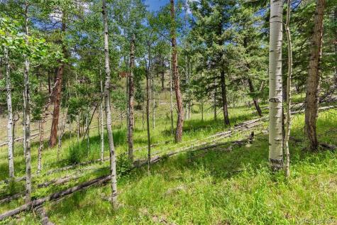 135 Linda Trail Bailey CO 80421
