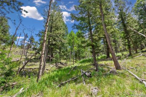 135 Linda Trail Bailey CO 80421