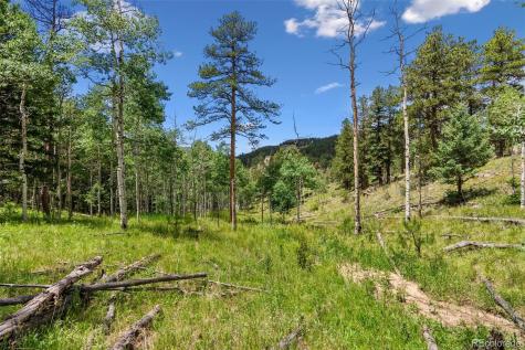 135 Linda Trail Bailey CO 80421