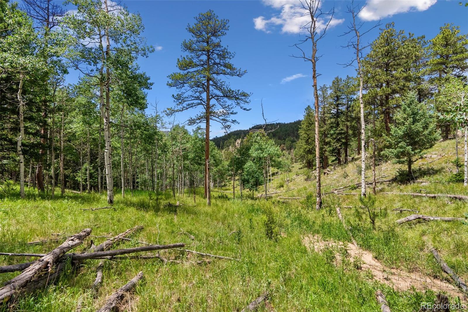 135 Linda Trail Bailey CO 80421