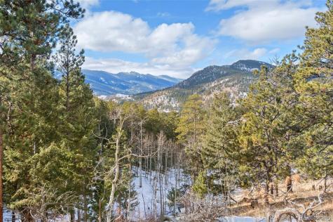 135 Linda Trail Bailey CO 80421