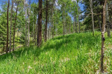 135 Linda Trail Bailey CO 80421