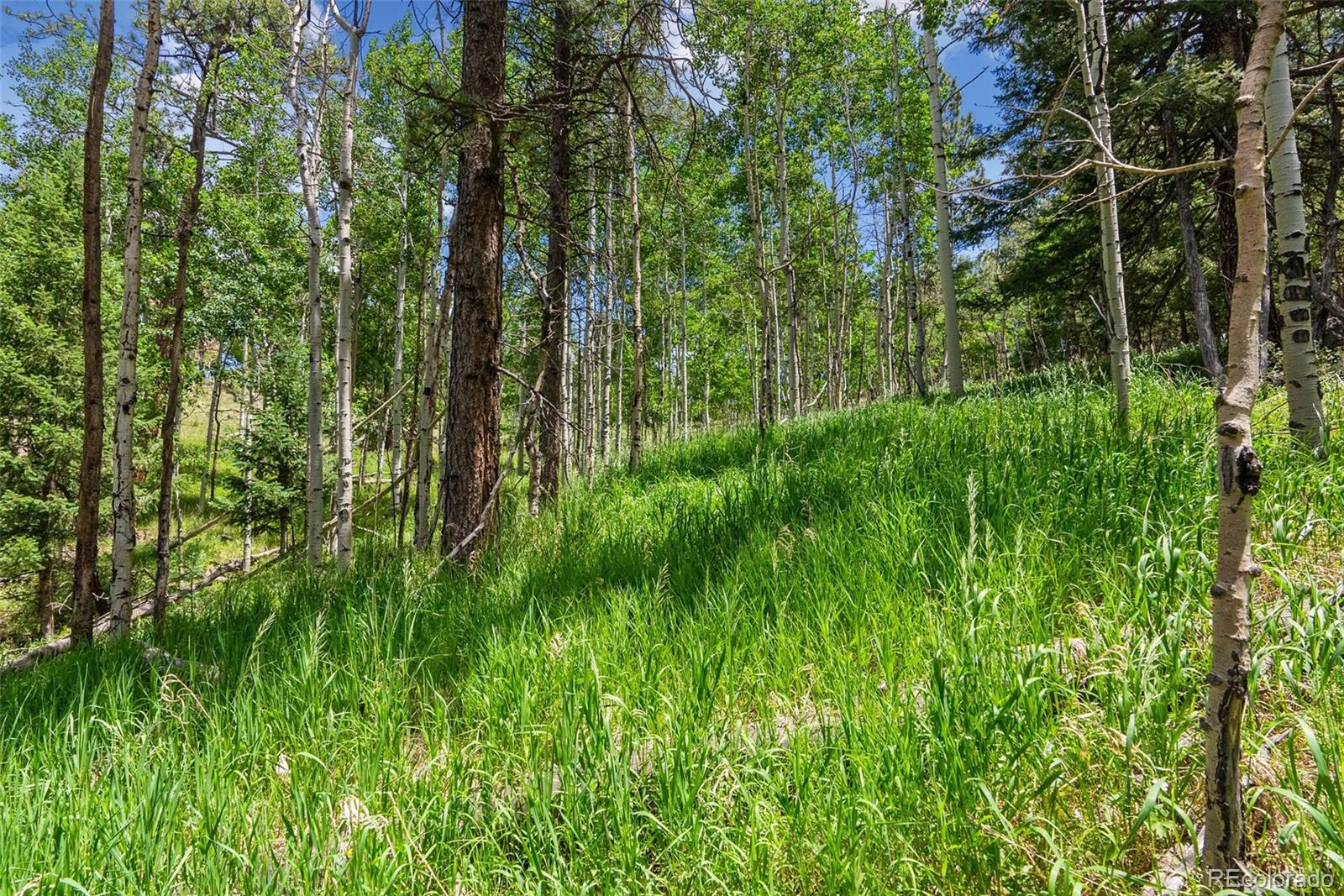 135 Linda Trail Bailey CO 80421