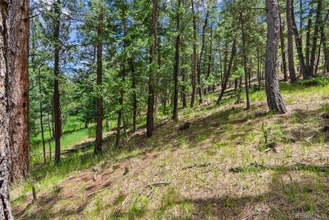 135 Linda Trail Bailey CO 80421