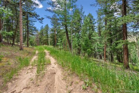 135 Linda Trail Bailey CO 80421