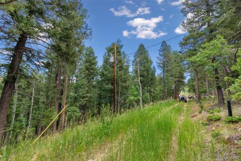 135 Linda Trail Bailey CO 80421