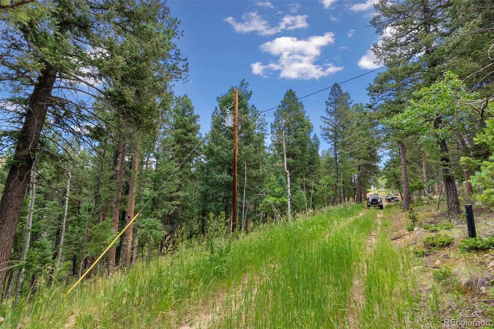 135 Linda Trail Bailey CO 80421