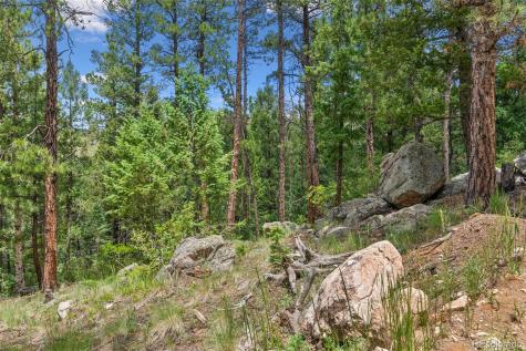 135 Linda Trail Bailey CO 80421