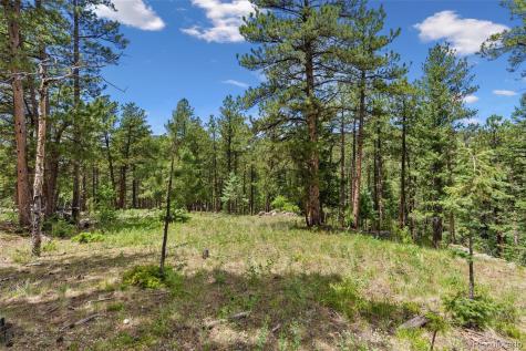 135 Linda Trail Bailey CO 80421