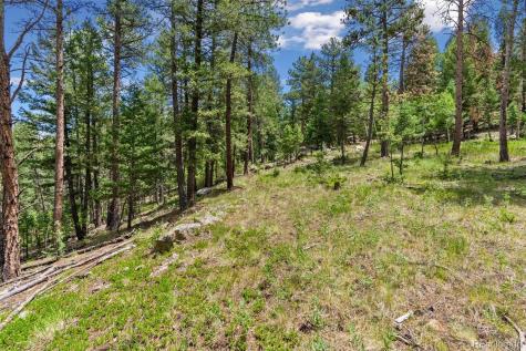 135 Linda Trail Bailey CO 80421