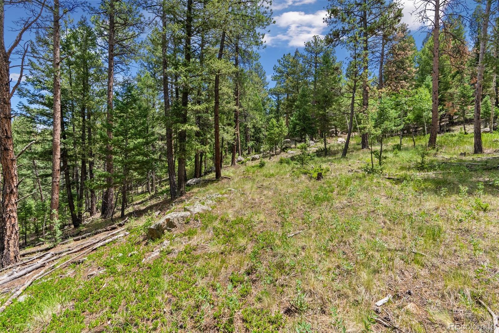 135 Linda Trail Bailey CO 80421
