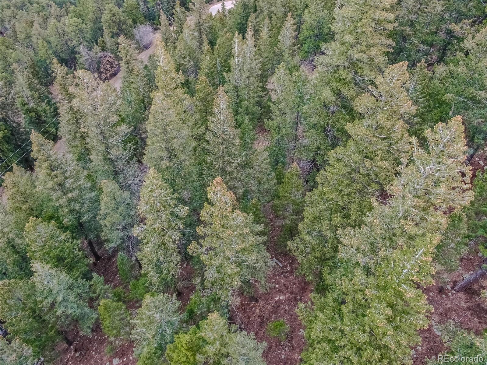 000 Upper Moss Rock Road Golden CO 80401