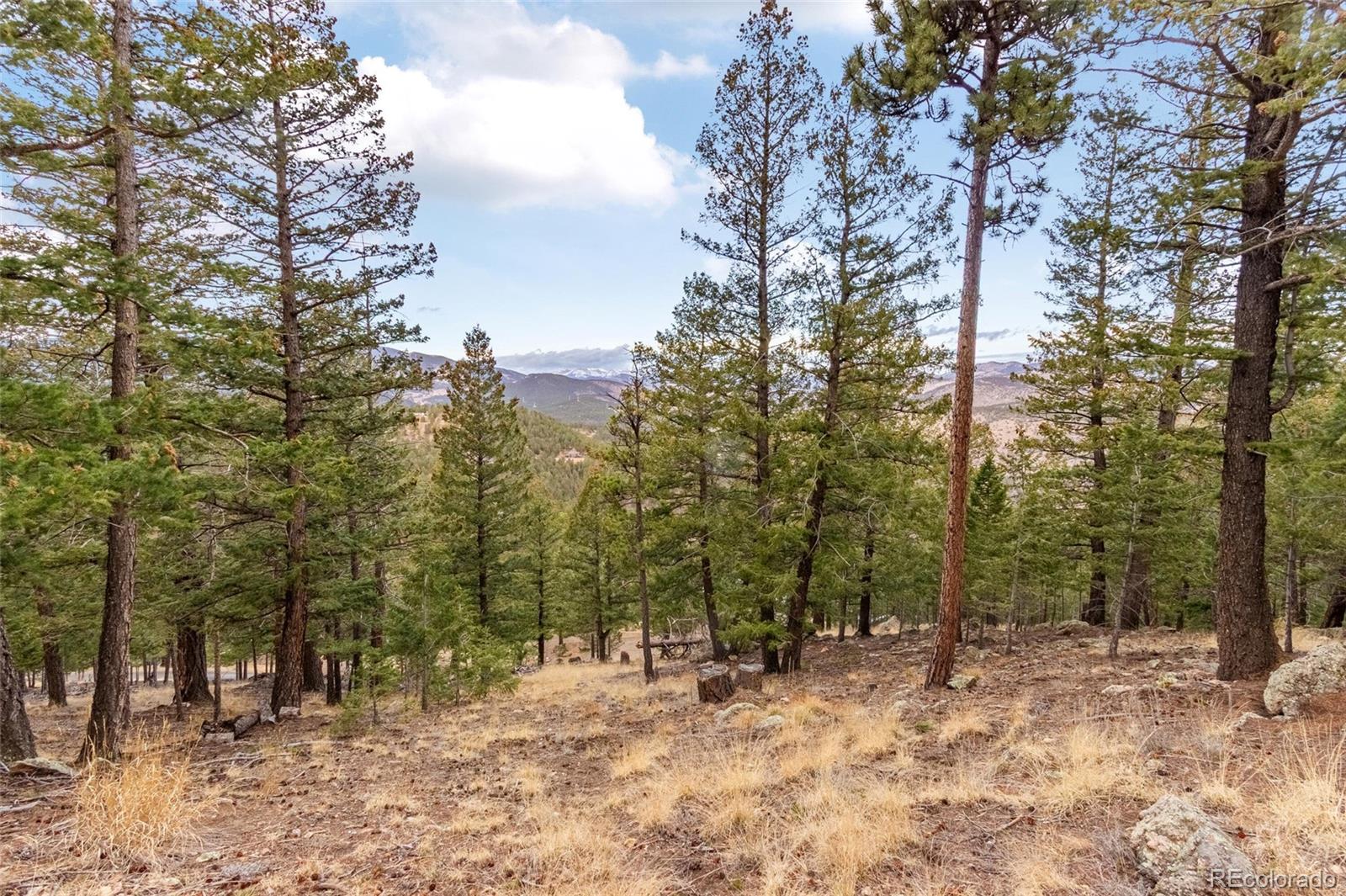 000 Upper Moss Rock Road Golden CO 80401
