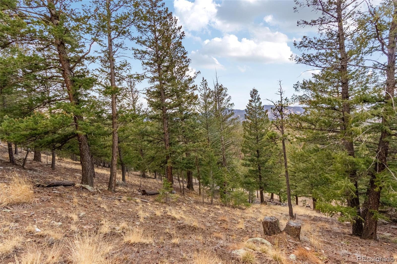 000 Upper Moss Rock Road Golden CO 80401