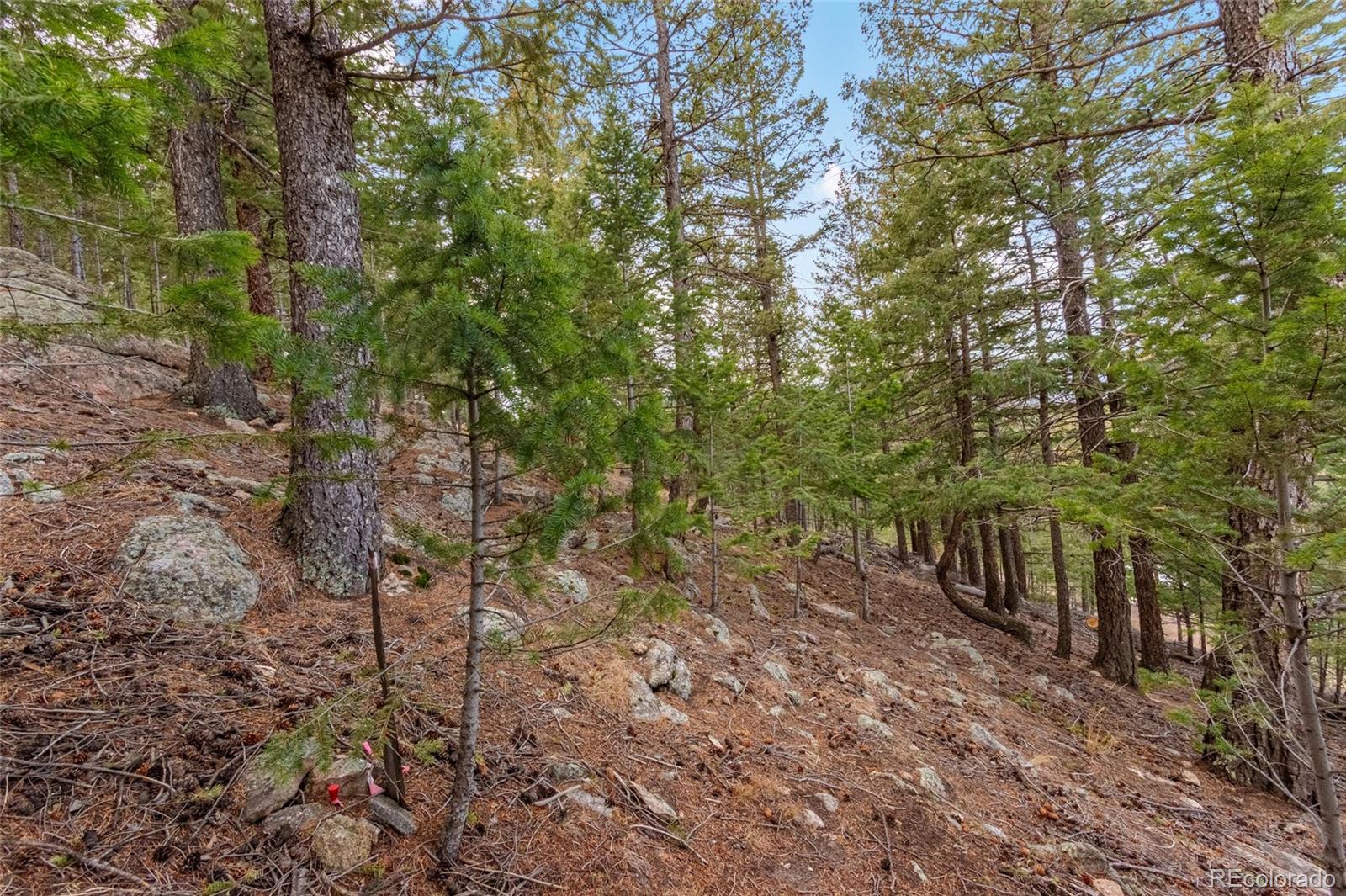 000 Upper Moss Rock Road Golden CO 80401
