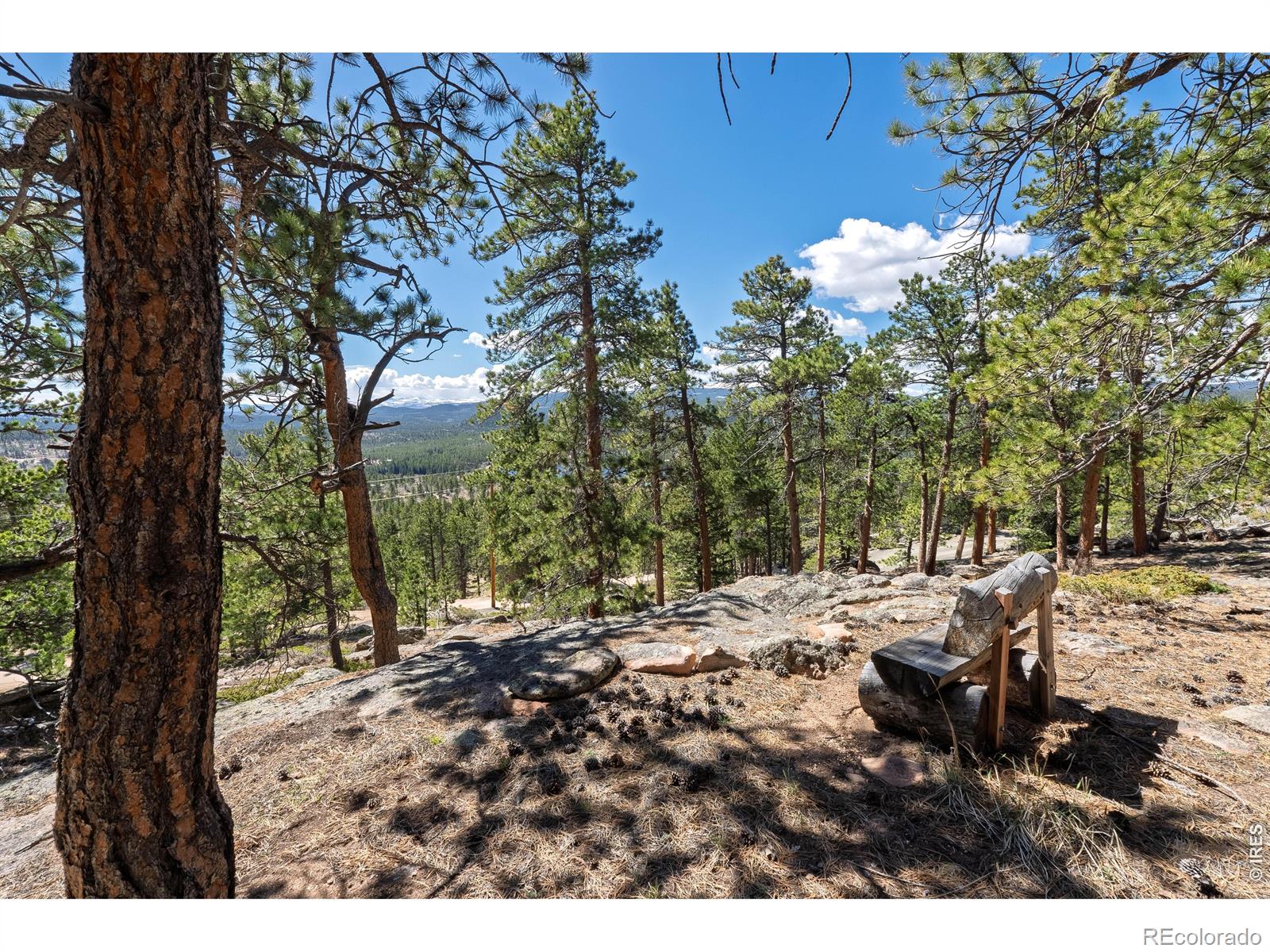 70 Nambe Court Red Feather Lakes CO 80545