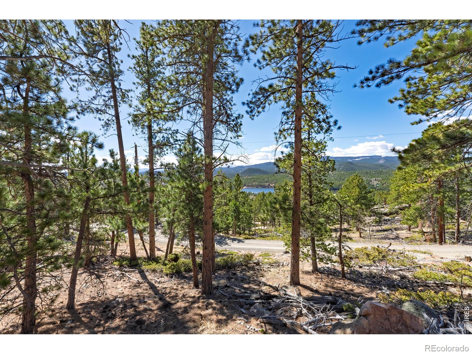 70 Nambe Court Red Feather Lakes CO 80545