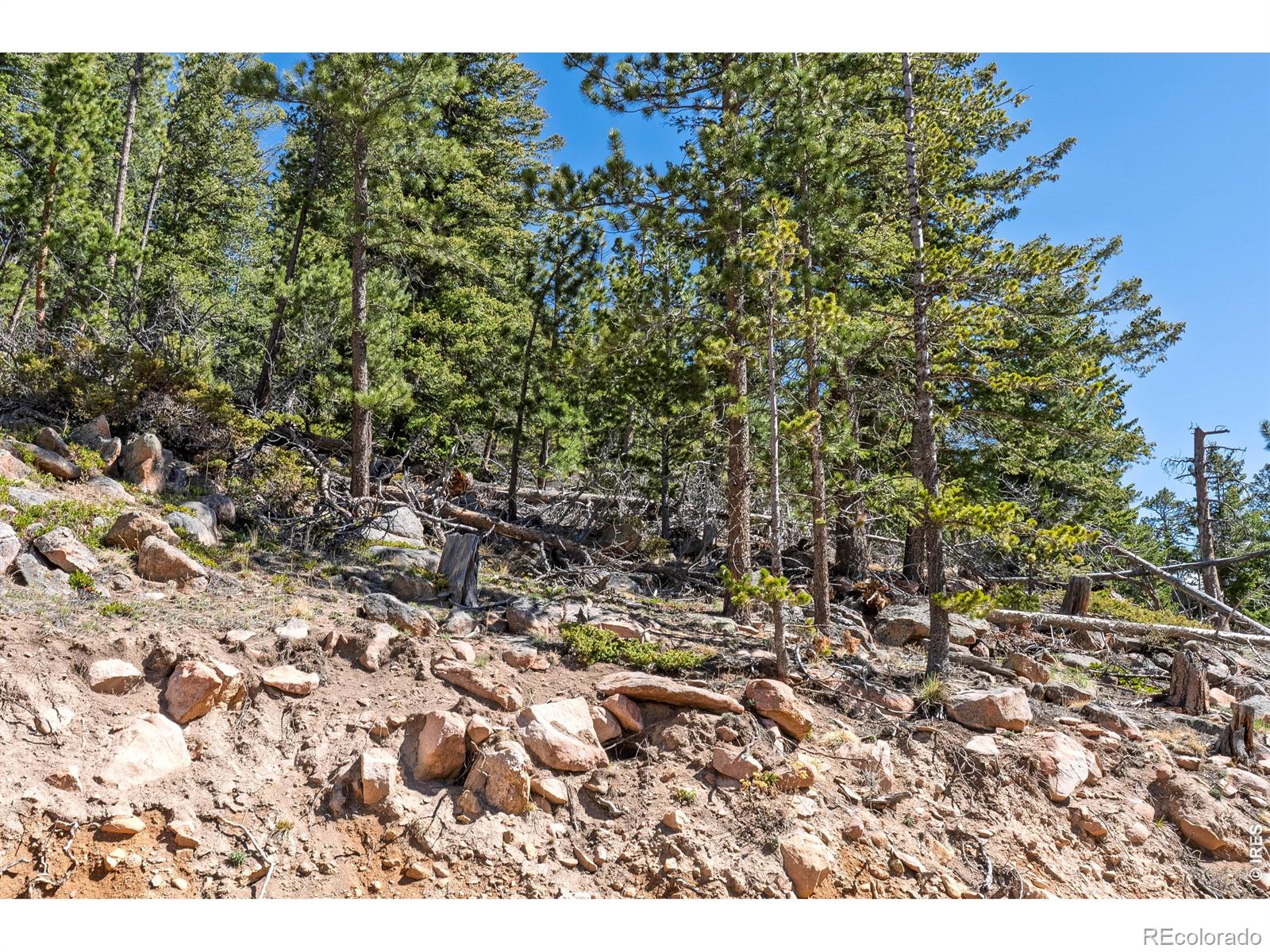 70 Nambe Court Red Feather Lakes CO 80545