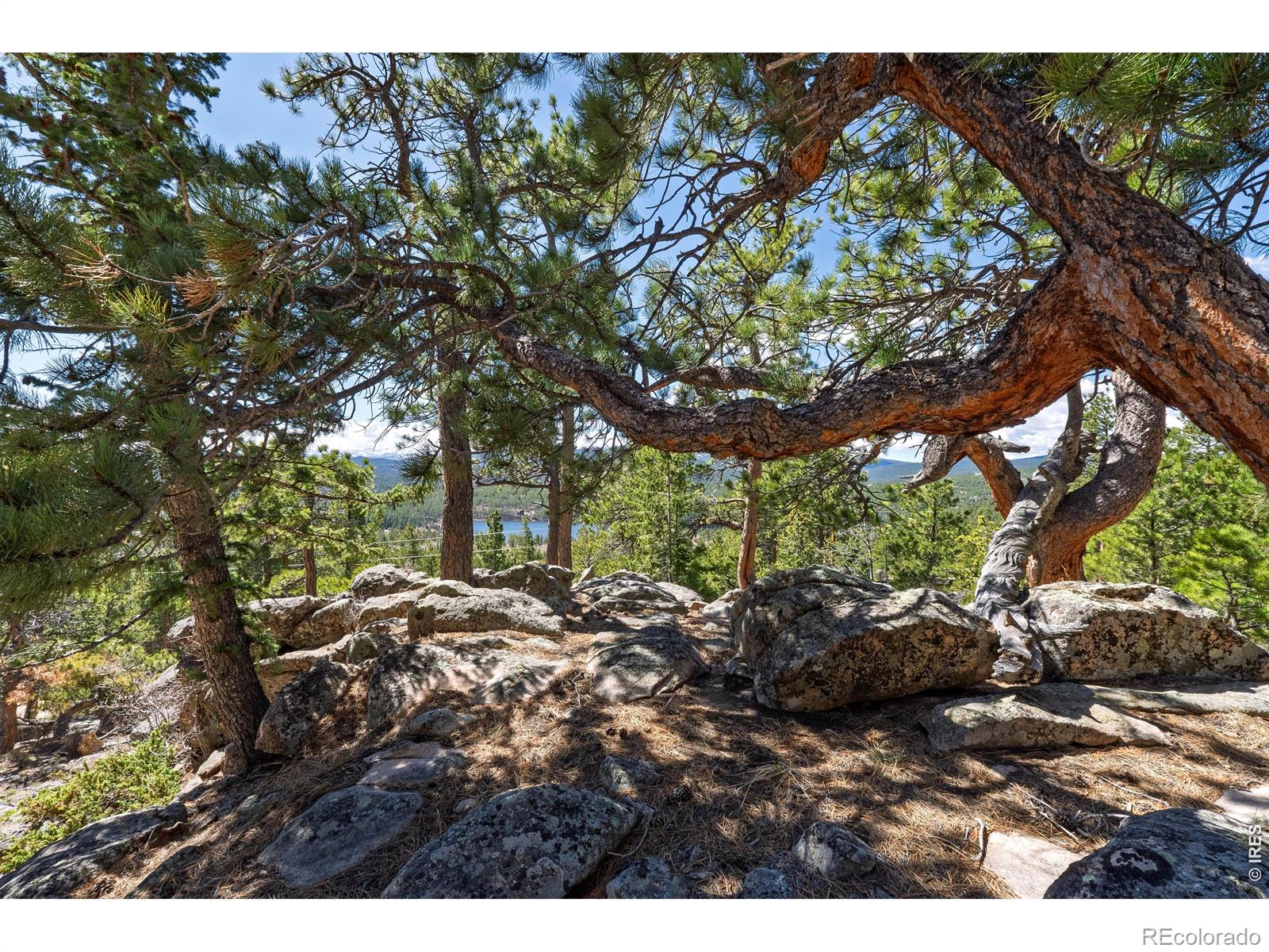 70 Nambe Court Red Feather Lakes CO 80545