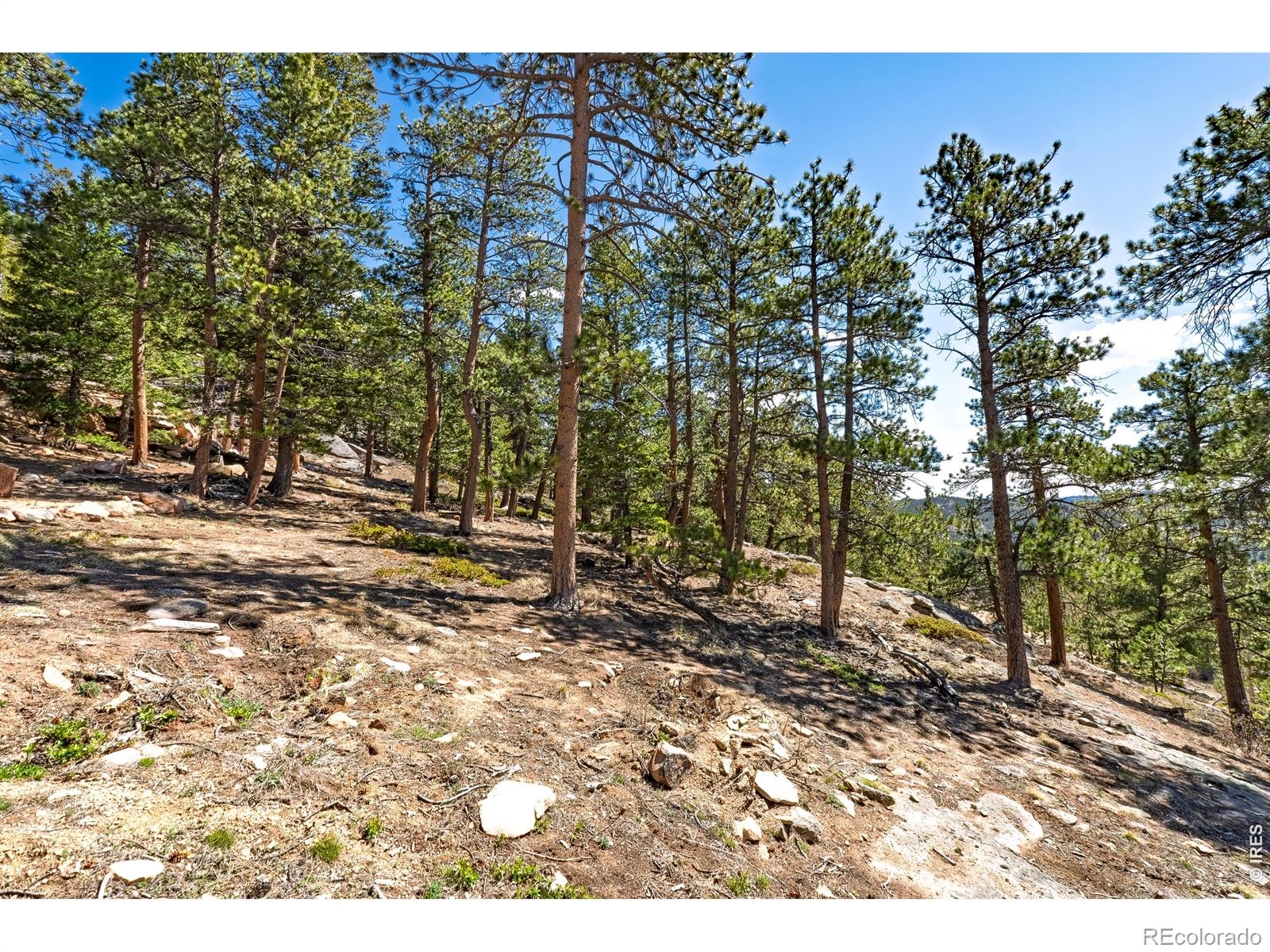 70 Nambe Court Red Feather Lakes CO 80545