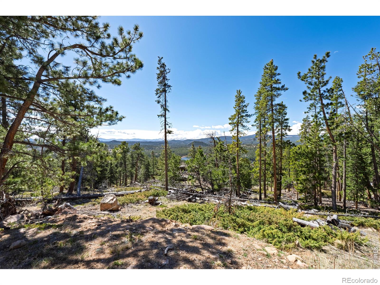 70 Nambe Court Red Feather Lakes CO 80545